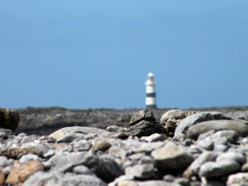 A lighthouse in the distance beyond a foreground of pebbles
